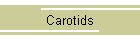 Carotids