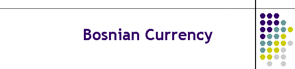 Bosnian Currency