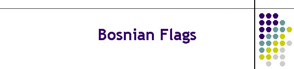 Bosnian Flags