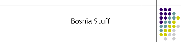 Bosnia Stuff