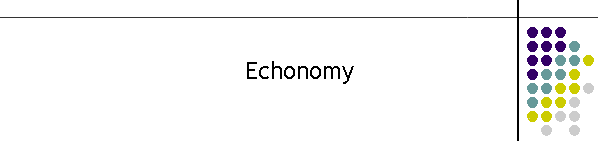 Echonomy