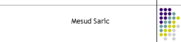 Mesud Saric