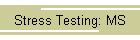 Stress Testing: MS